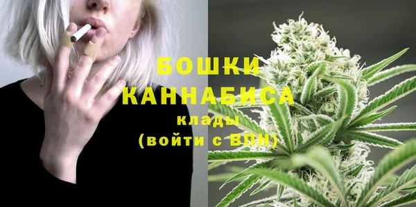 СК Бородино