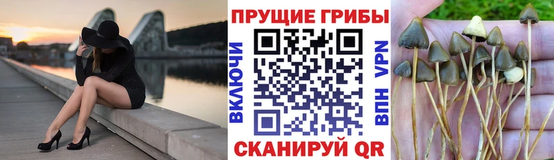 Галлюциногенные грибы Psilocybe  гидра зеркало  Мышкин 